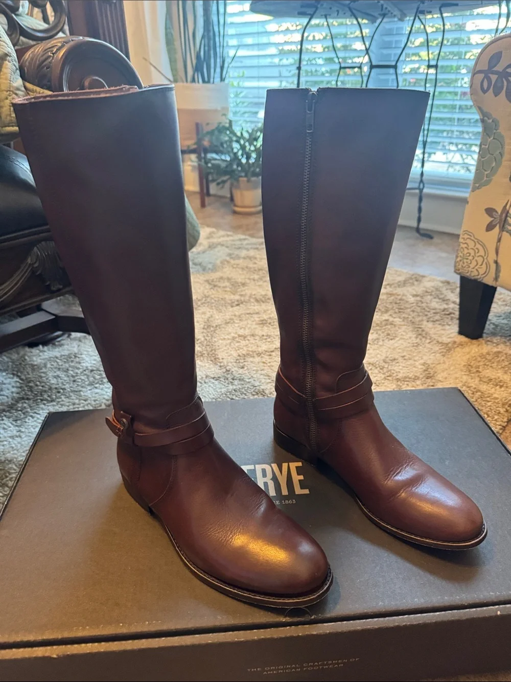 Frye Women's Melissa Belted Tall Riding Boots in Dark Brown Leather